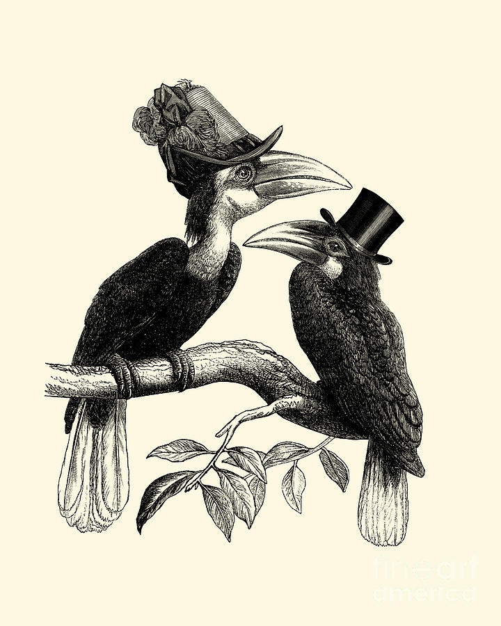 Hornbill Digital Art - Funny Hornbills by Madame Memento