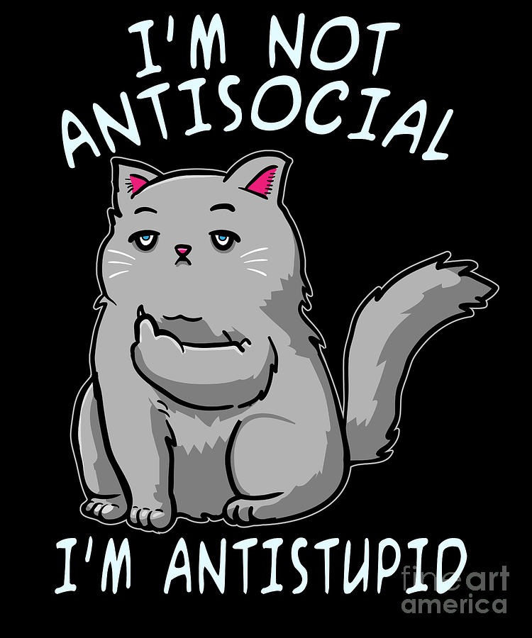 Funny Introvert Cat Im Not Antisocial Im Antistupid design Digital Art ...