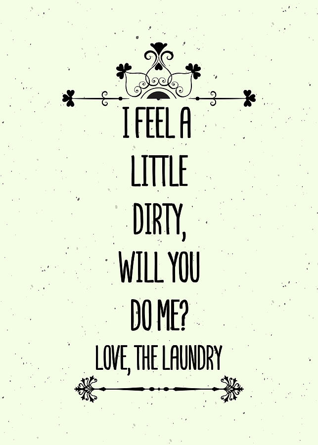 Funny Laundry Room Wall Art Decor I Feel A Little Dirty Will You Do Me ...