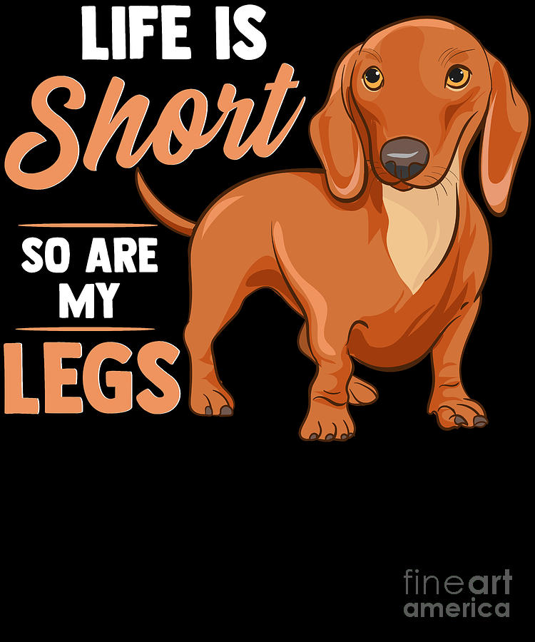 Funny Life Is Short So Are My Legs Dachshund Owner Digital Art by The  Perfect Presents - Fine Art America