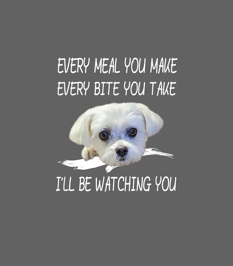 Funny Maltese Dog Watching Owner Quote Puppy Mom Dad Digital Art by ...