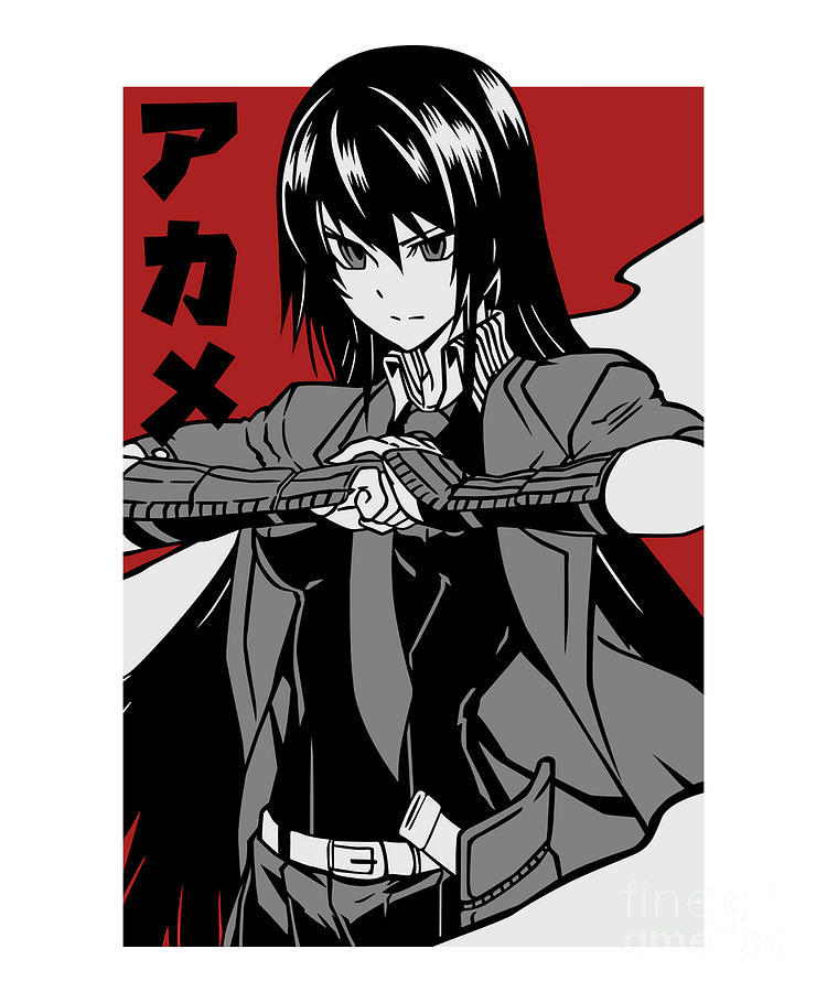 Men Women Akame Ga Kill Anime Gifts For Music Fans Poster for