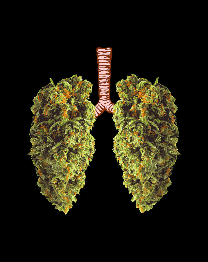 Funny Marijuana Bud Lungs Weed and THC Lung Digital Art by Frank Nguyen