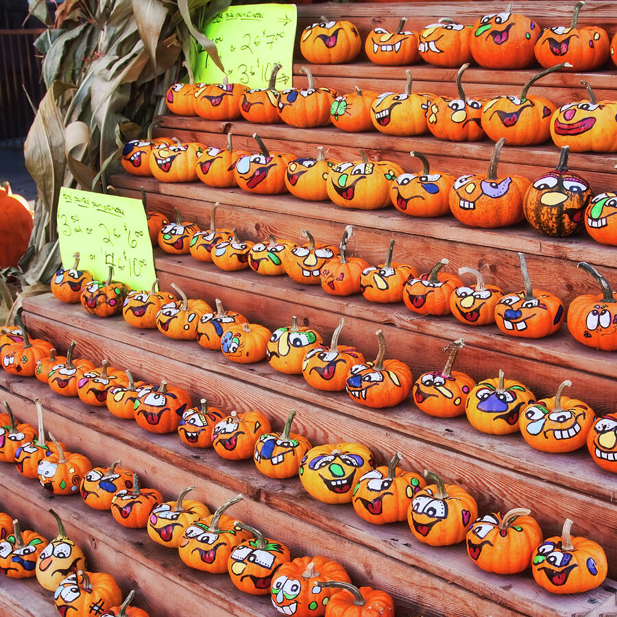 Funny mini pumpkins at the market Photograph by Tatiana Travelways Funny mini pumpkins at the market Photograph by Tatiana Travelways