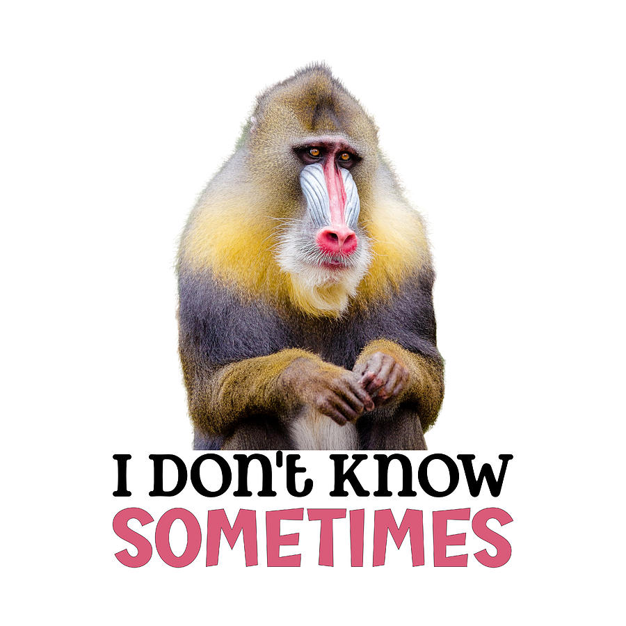Funny Monkey - Dont Know Mixed Media by Bob Pardue