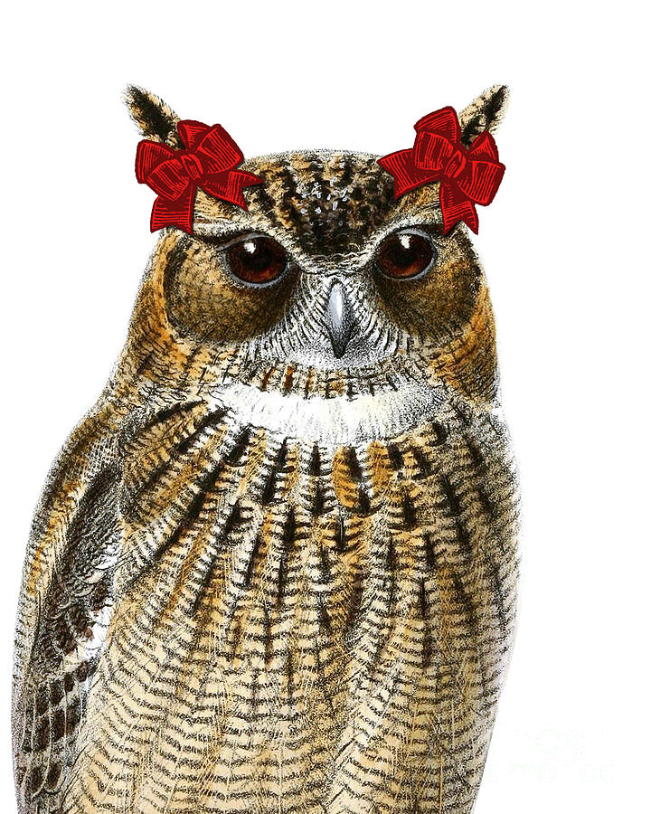 Owl Digital Art - Funny Owl Girl by Madame Memento