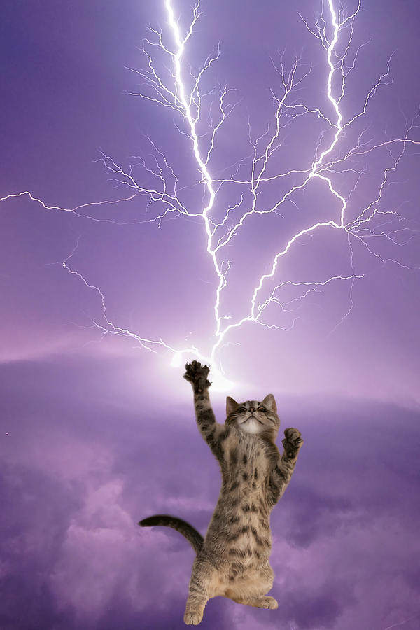 Funny Powerful Cat with Lightning and Thunder Painting by Adrian Olivia ...