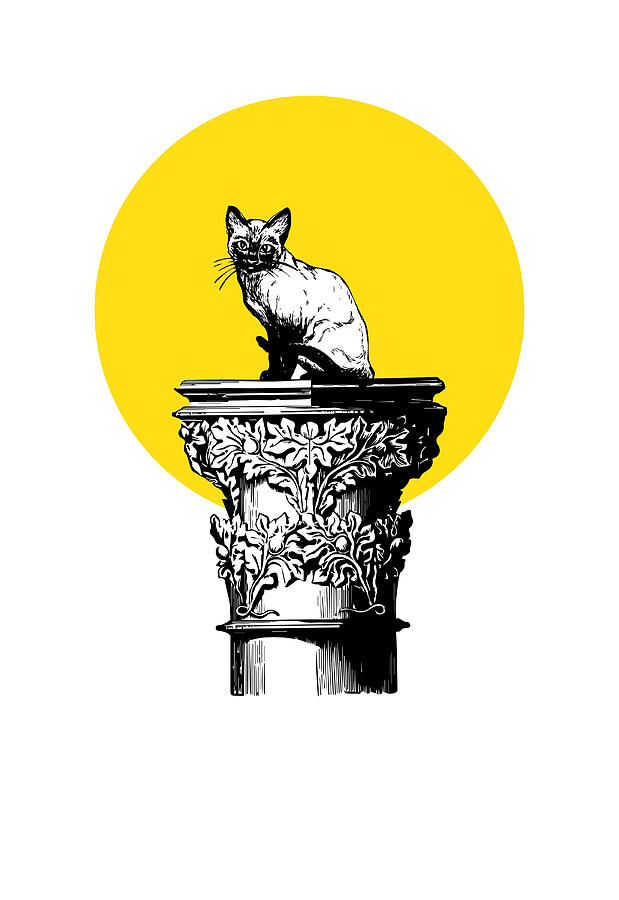 Funny Pussy Cat On A Pedestal Digital Art By Jacob Zelazny Fine Art