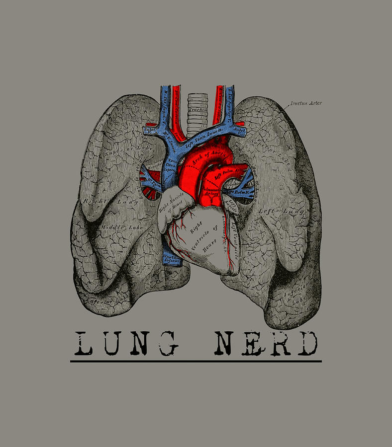 hospital Respiratory therapist just lungs air Digital File medical Lungs Lung Nerd RT Breathe