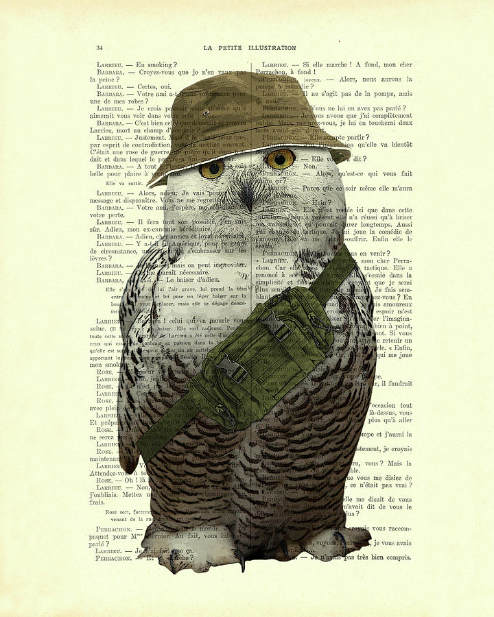 Owl Digital Art - Funny snowy owl portrait by Madame Memento