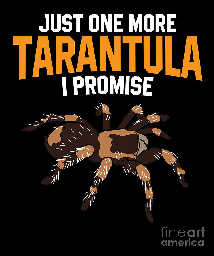tarantula pet