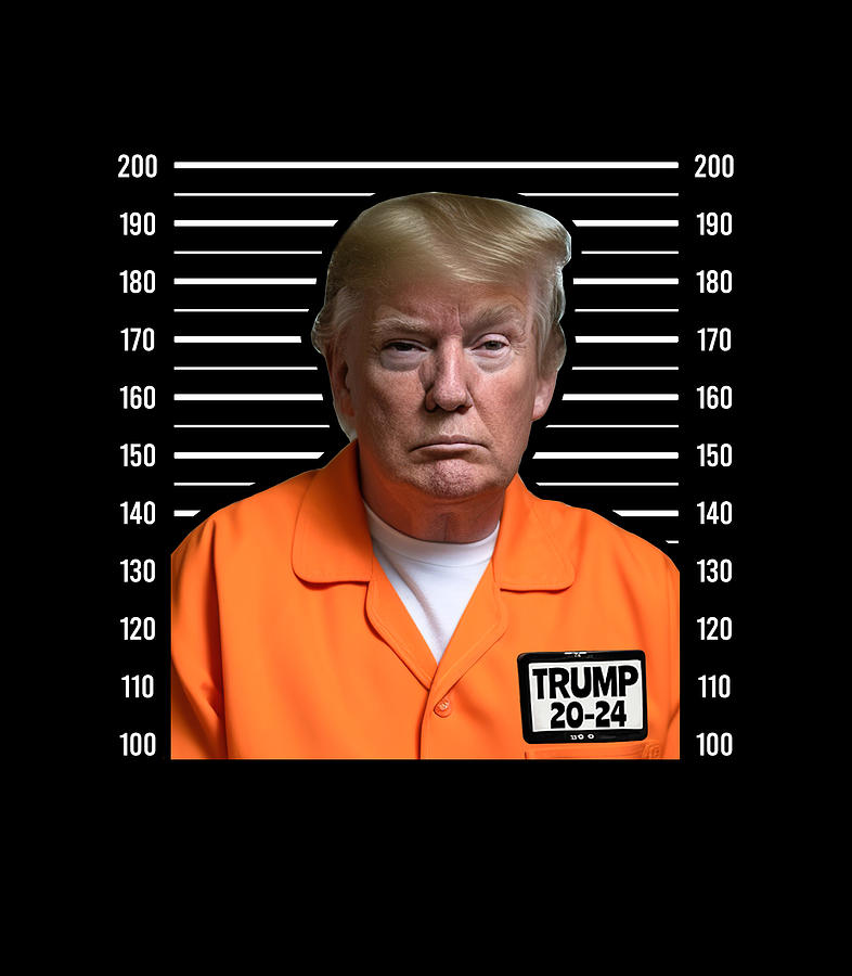 Funny Trump 2024 Prisoner Mugshot I Stand With Trump Pro Trump ...