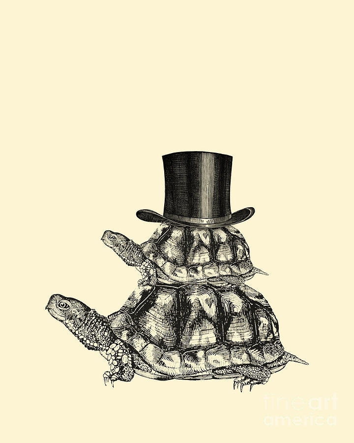 Turtle Digital Art - Funny Turtles by Madame Memento