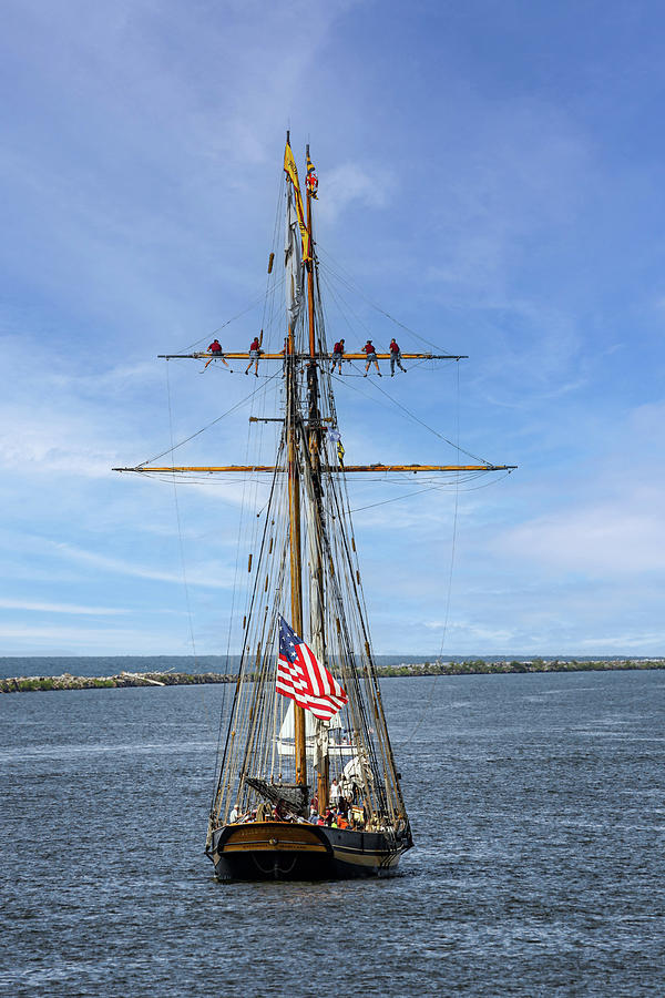 Furling The Sails Photograph by Dale Kincaid