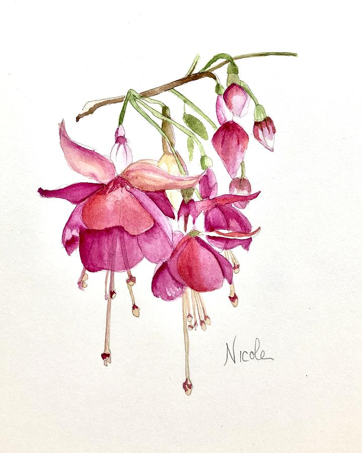 Floral Painting - Fuschia by Nicole Curreri