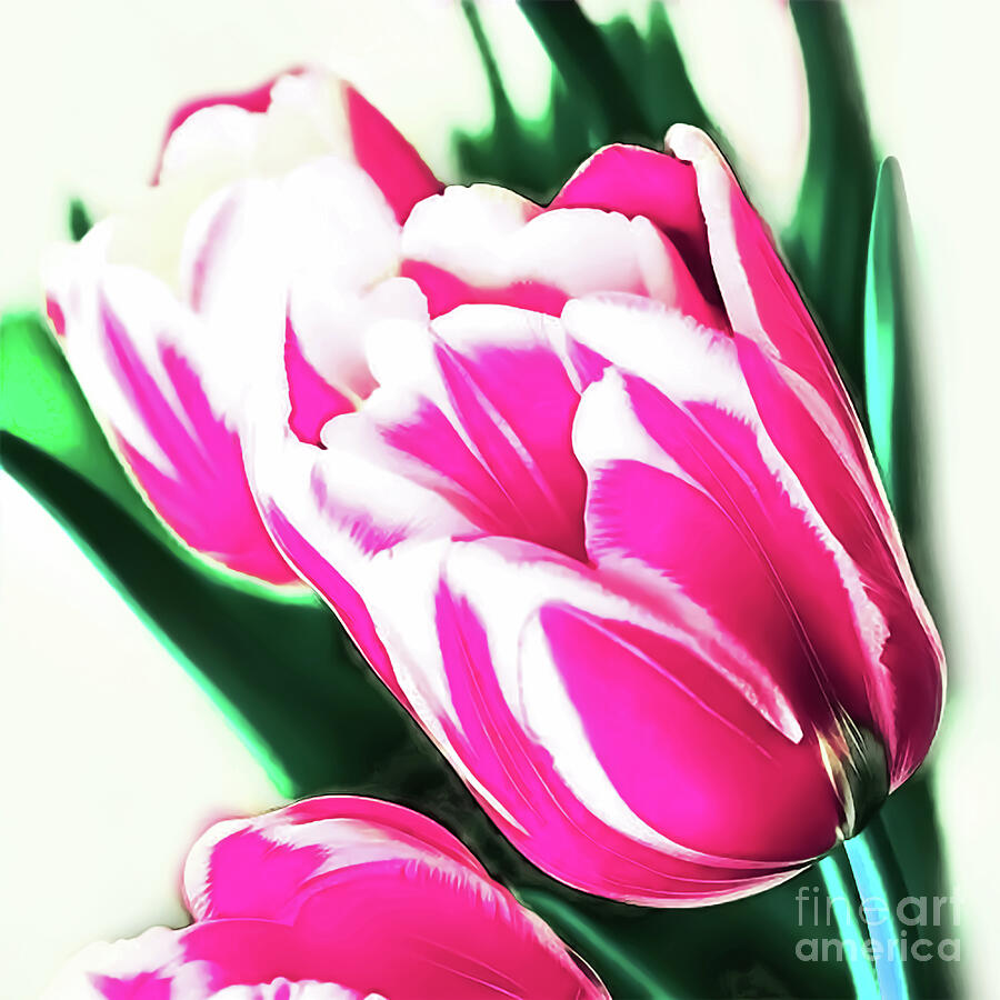 Fuschia Skagit Valley Tulips Digital Art by Eddie Eastwood