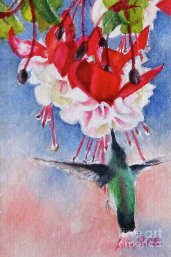 Fuschia with HUmmingbird Painting by Lisa Pope