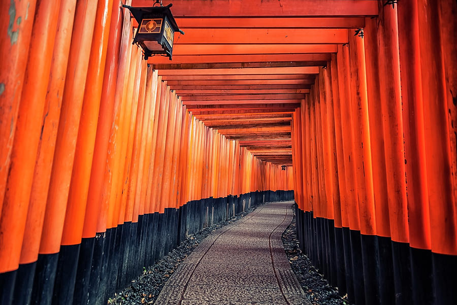 Fushimi Inari Taisha Photograph