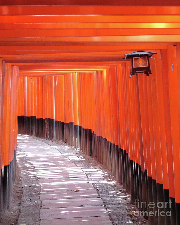Fushimi Inari tunnel in Kyoto Photograph by Delphimages Photo Creations