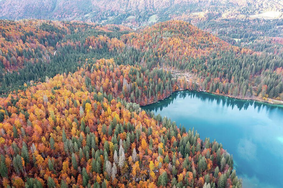 Fusine lakes in autumn colors Photograph by Francesco Riccardo Iacomino