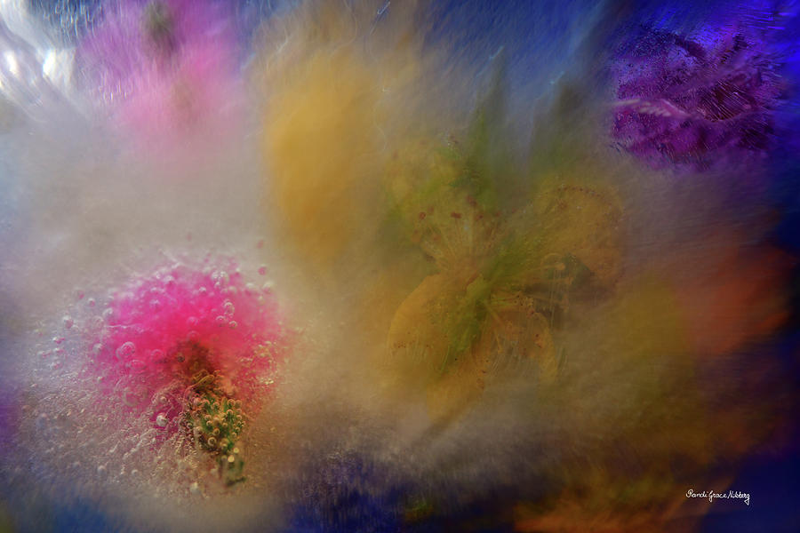 Flower Photograph - Fusion by Randi Grace Nilsberg