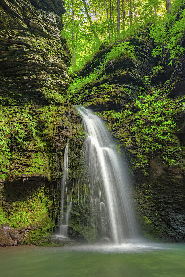 Fuzzy Butt Falls Photograph By Jerad Roberts - Pixels