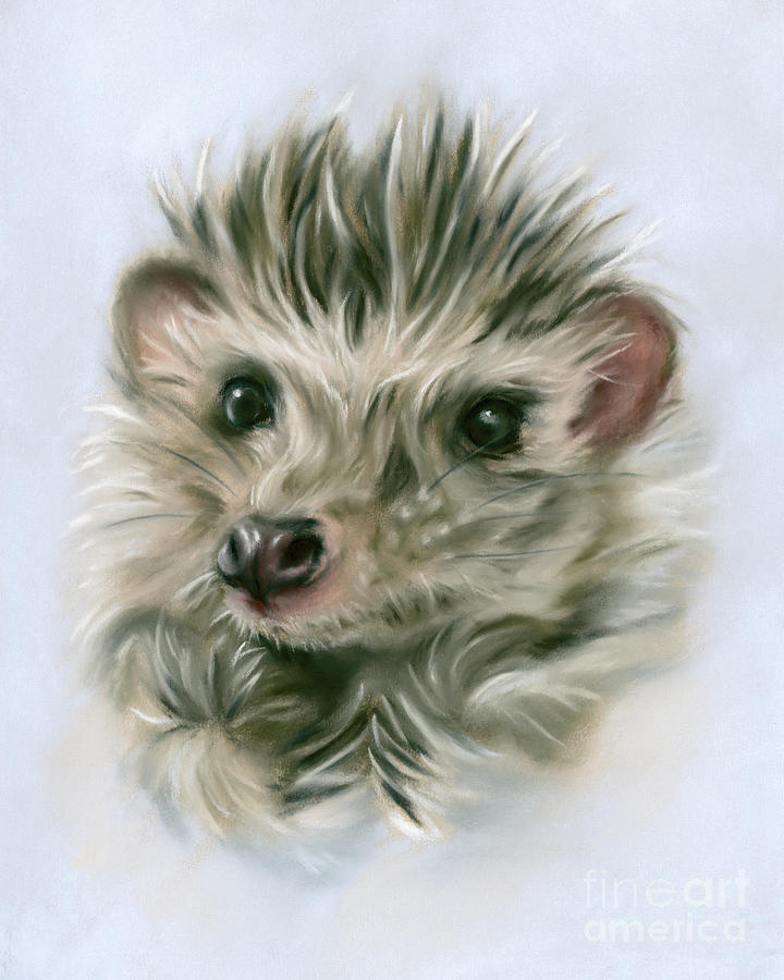 Fuzzy Little Hedgehog Painting by MM Anderson