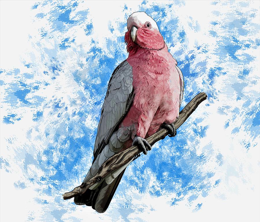 G is For Galah Drawing by Joan Stratton