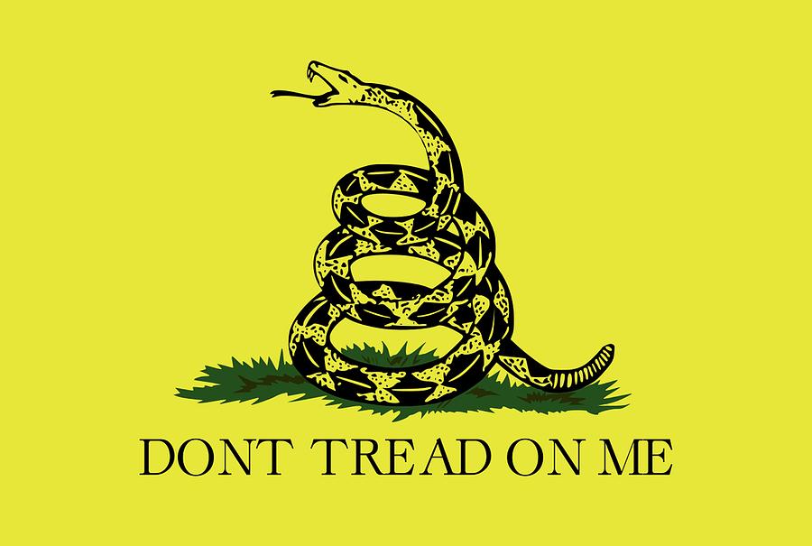 Gadsden flag. DONT TREAD ON ME FLAG. American Revolutionary War ...