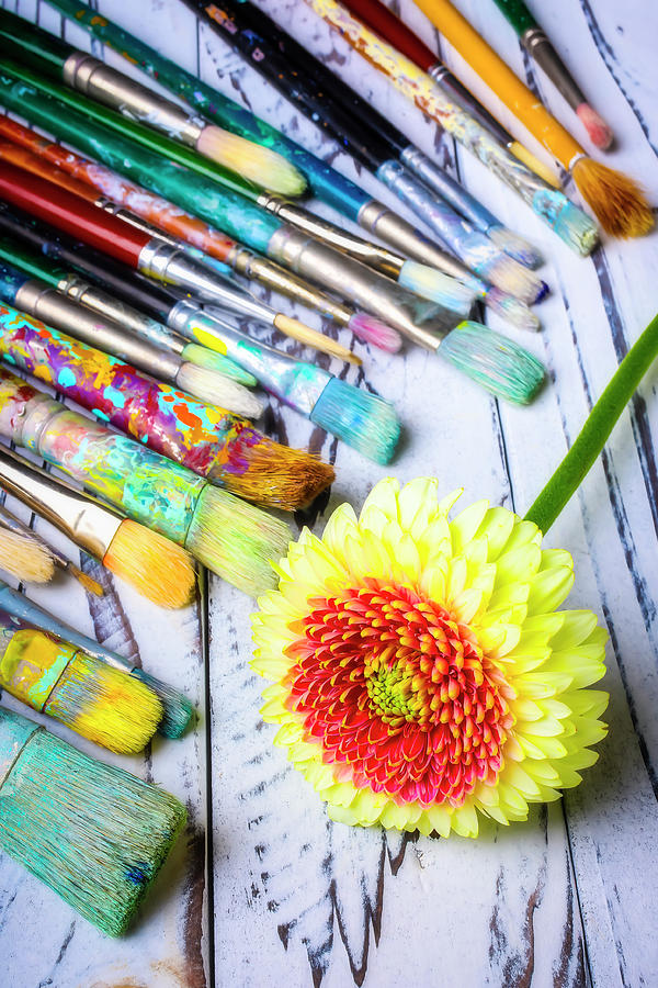 Still Life Photograph - Gaerbera Daisy And Paint Brushes by Garry Gay