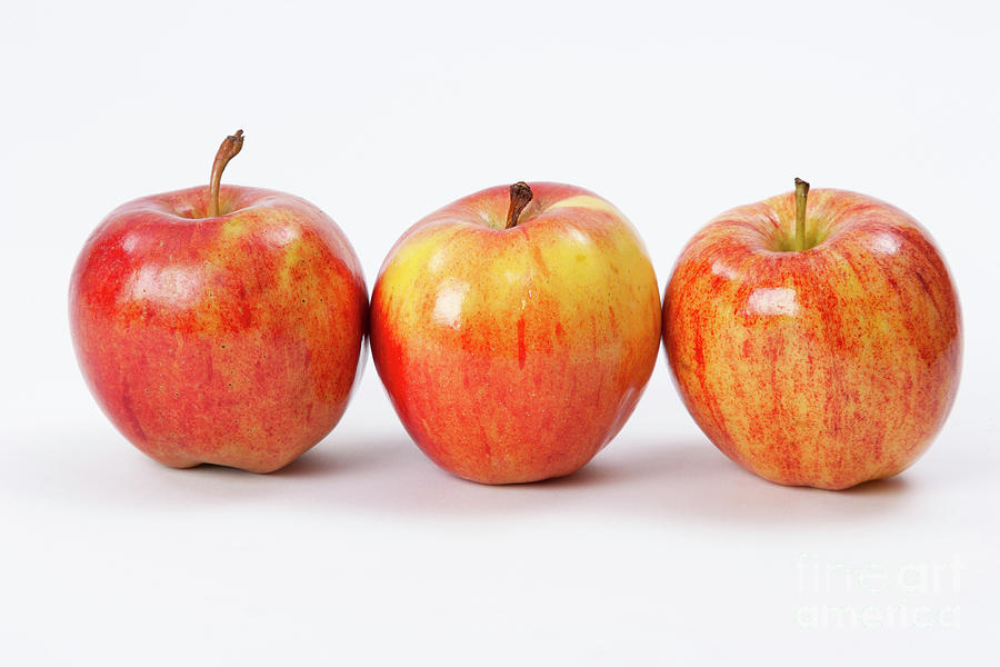 Apple Photograph - Gala Apples-2 by Juan Silva