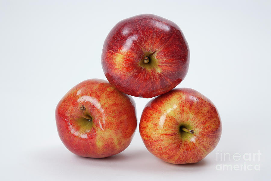 Apple Photograph - Gala Apples-3 by Juan Silva