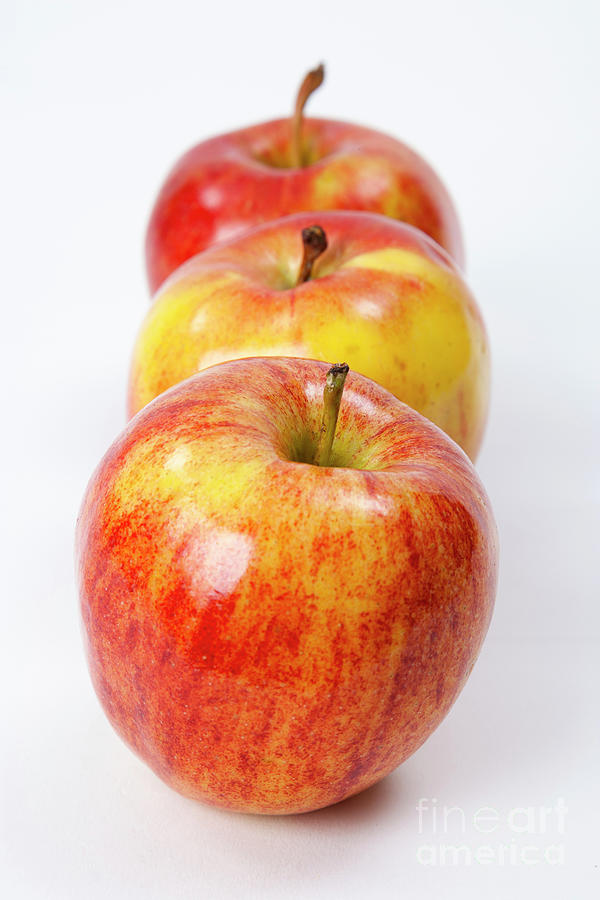 Apple Photograph - Gala Apples by Juan Silva