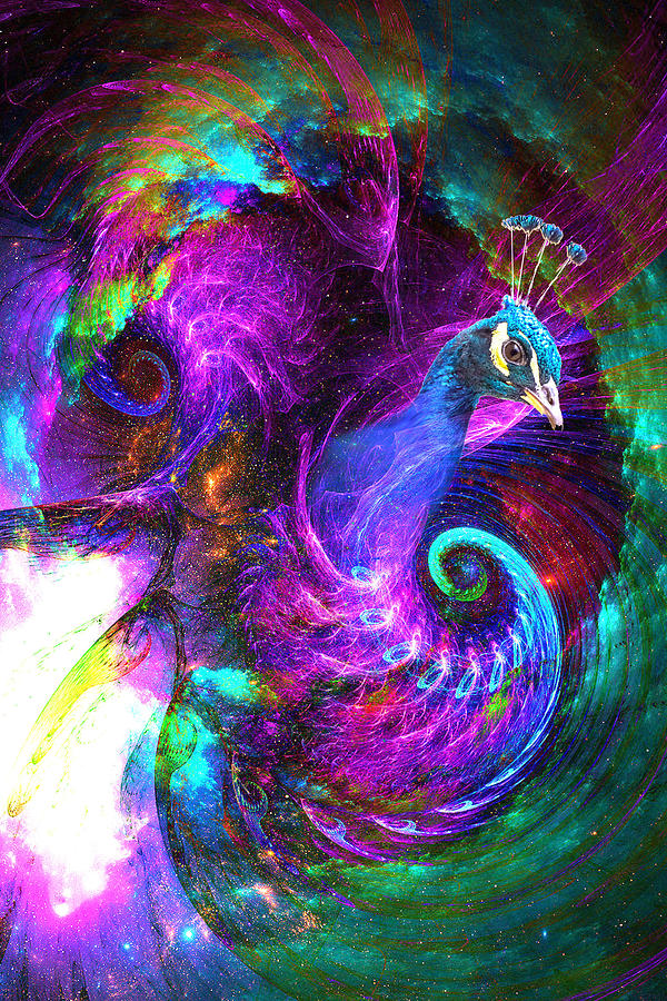Galactic Peacock Digital Art by Lisa Yount