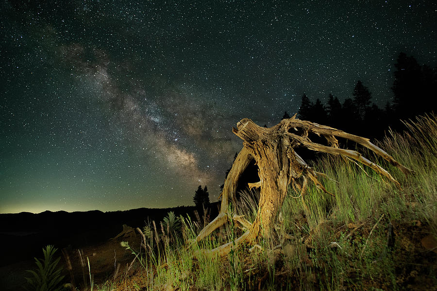 Galactic Stump Photograph by Mike Lee