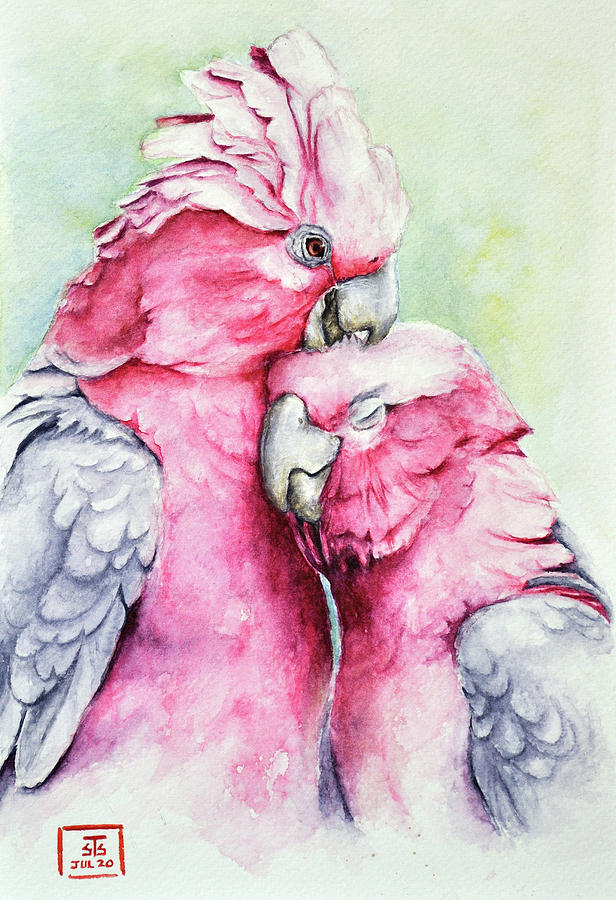 Macaw Painting - Galah Cockatoo - Care by Sivaraman