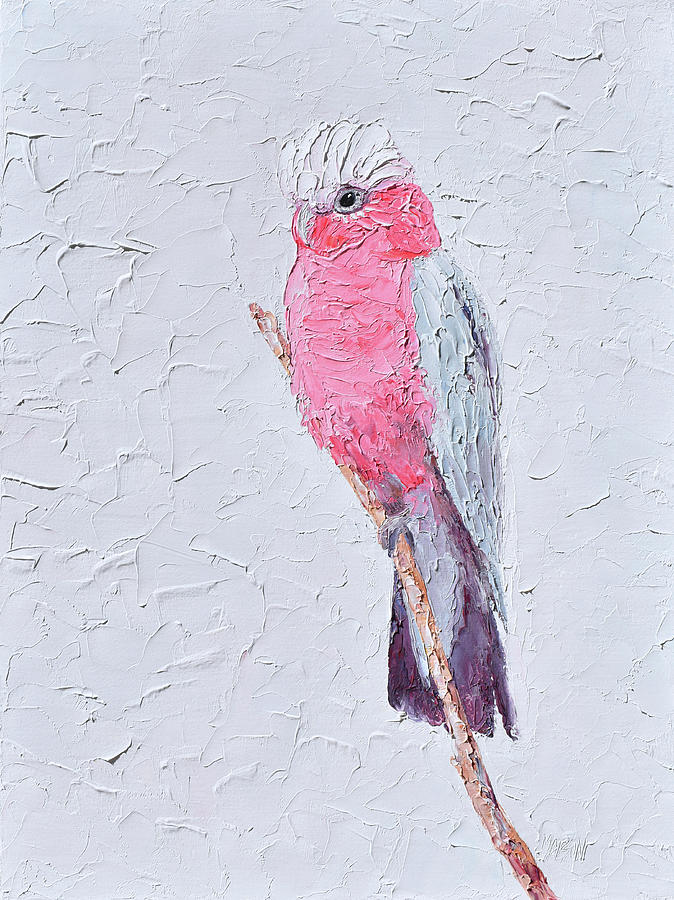 Galah - native bird painting Painting by Jan Matson