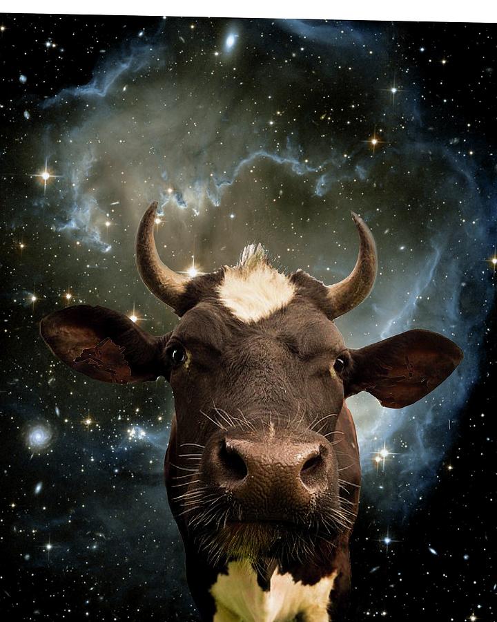 Galaxy Cow Mixed Media by Eileen Backman