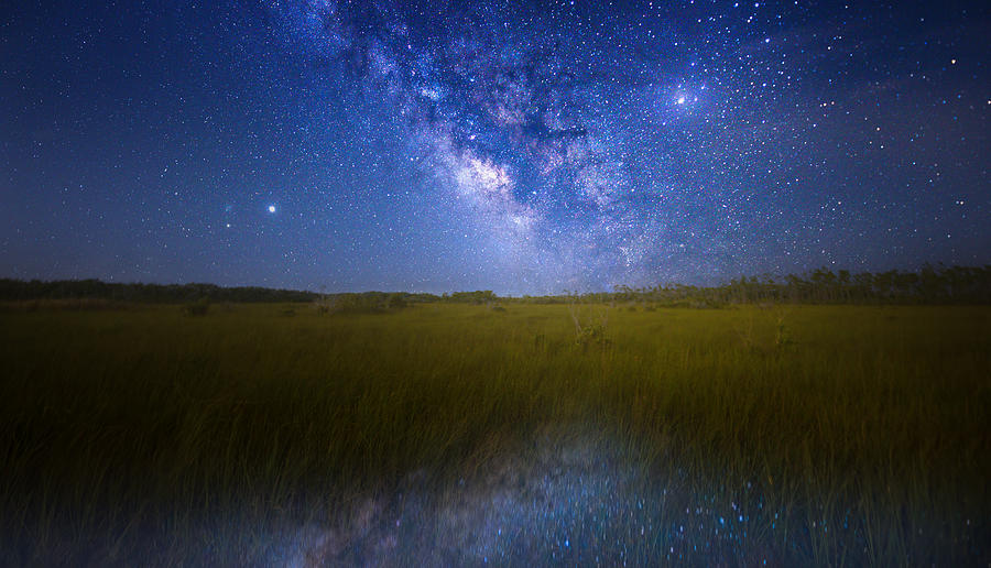 Space Photograph - Galaxy in the Glades by Mark Andrew Thomas