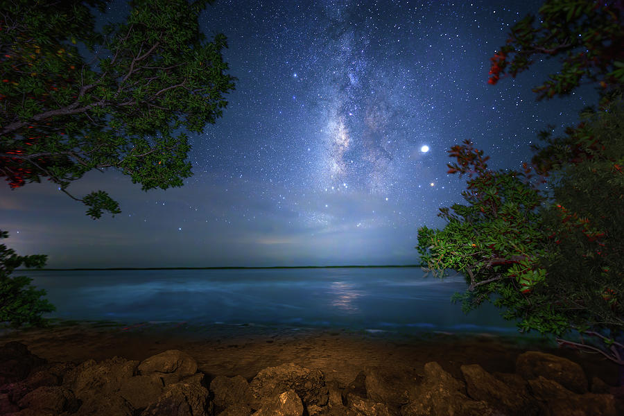 Galaxy Lagoon Photograph by Mark Andrew Thomas