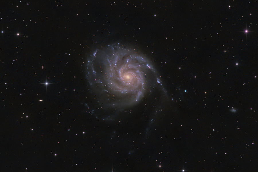 Galaxy M101 Photograph by Timothy McIntyre - Fine Art America