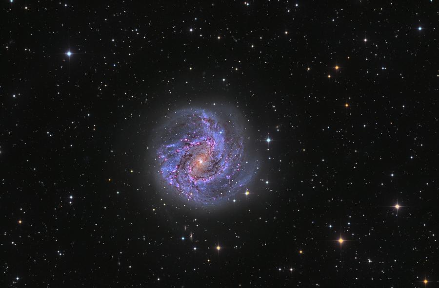 Space Photograph - Galaxy M83 by Brian Peterson Space Photograph - Galaxy M83 by Brian Peterson