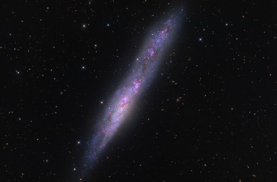 Galaxy Photograph - Galaxy NGC 55 by Brian Peterson