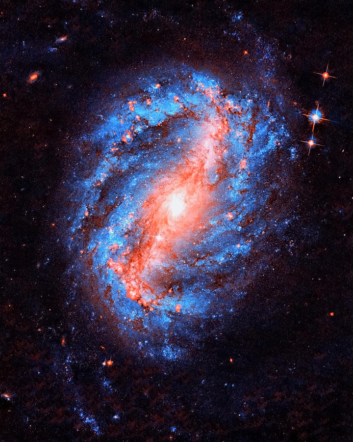 Interstellar Photograph - Galaxy NGC 6217 by Mango Art