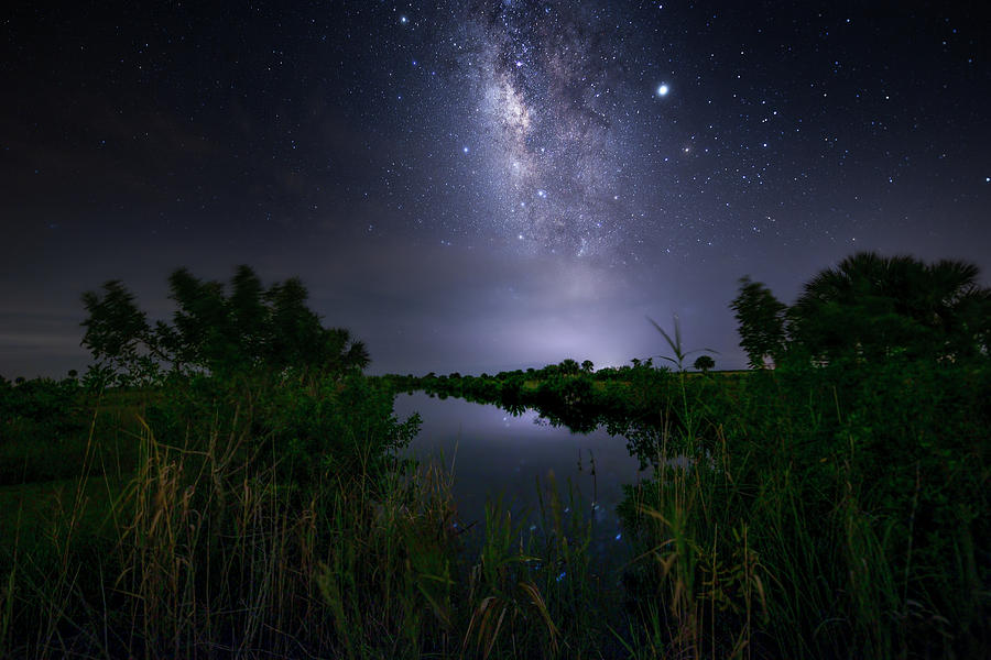 Galaxy Nights Photograph by Mark Andrew Thomas