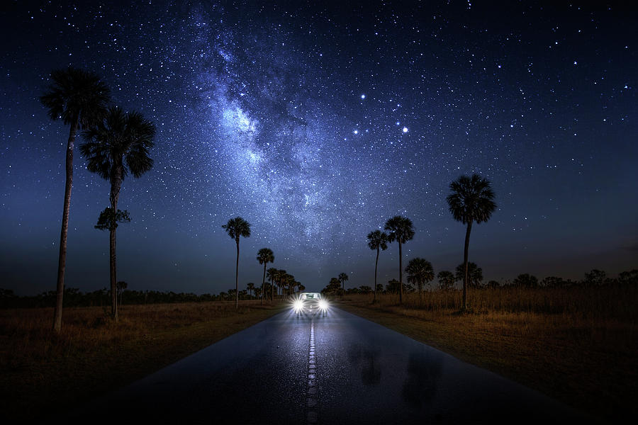 Big Cypress National Preserve Photograph - Galaxy Speedway by Mark Andrew Thomas