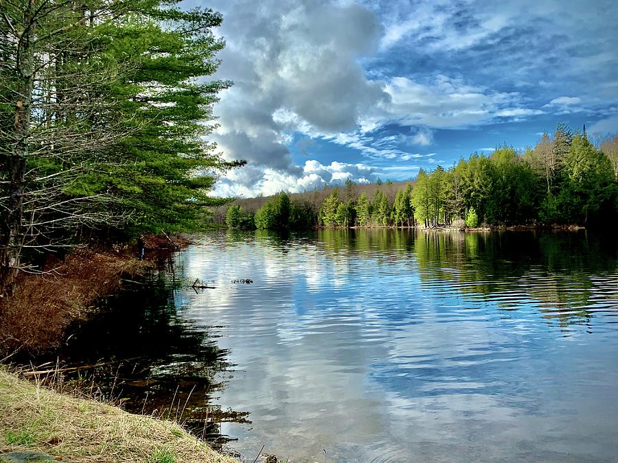 Gale Meadows Pond VT Digital Art By Judson Schumacher - Fine Art America