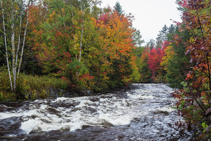 Gale River Autumn Photograph by White Mountain Images