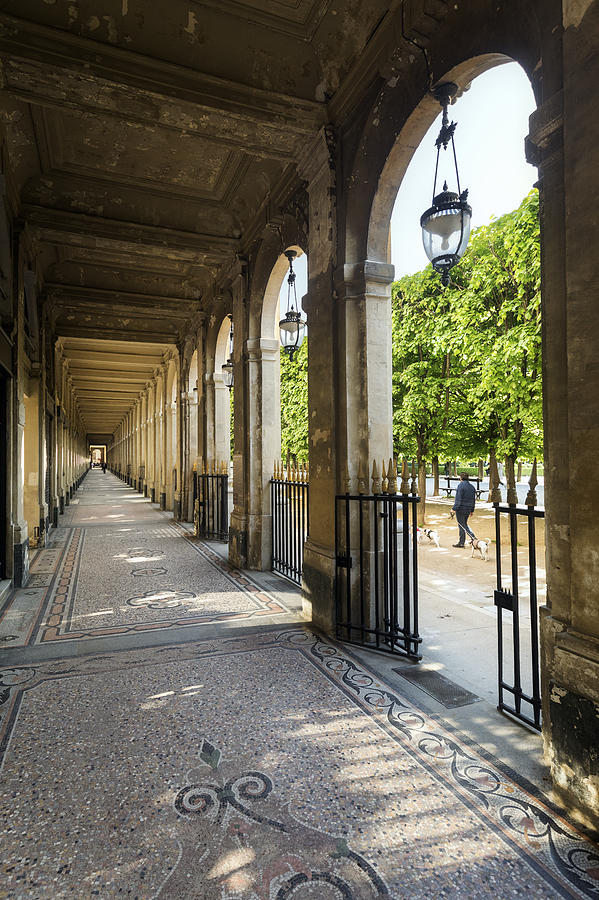 Galerie du Palais-Royal, Paris Photograph by Julien FROMENTIN @