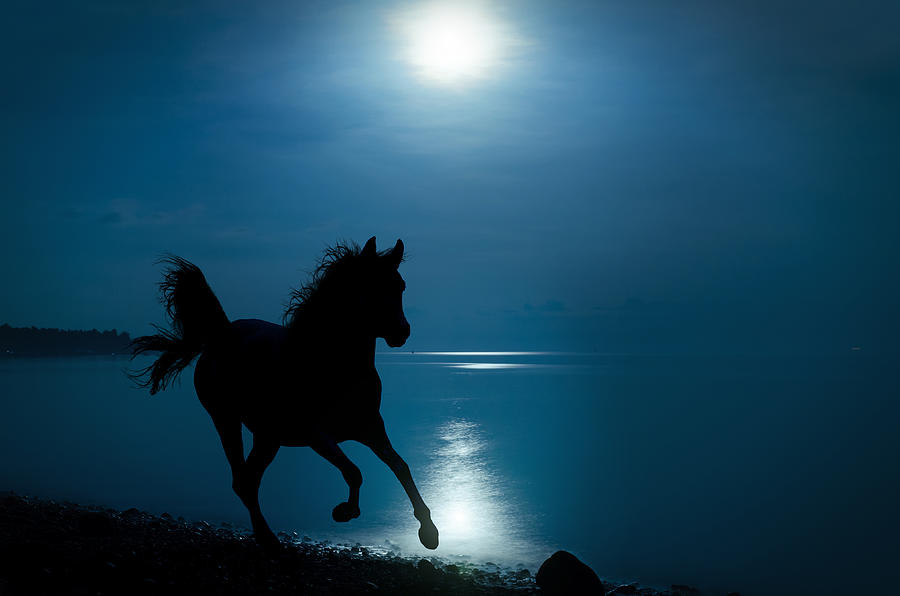 Galloping Horse In Moonlight On Beach Photograph by Kerrick